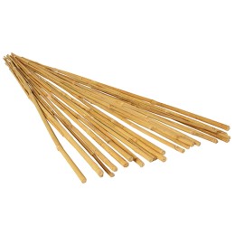 bamboo stake 6 ft (20pcs/bdl)