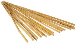 bamboo stake 7 ft. (20pcs/bdl)