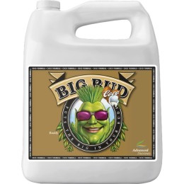 big bud coco liquid 4 litres