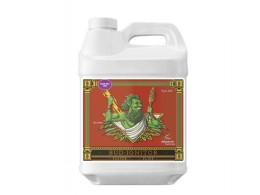 bud ignitor