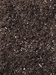 charzan biochar super soil 19 litres