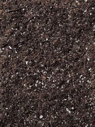 hollandbasics all purpose organic soil blend for gardening and plants, 10l