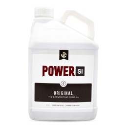 powersi original 5l