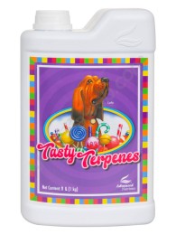 tasty terpenes