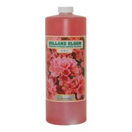holland bloom 1 litre