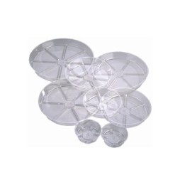 plant saucer 6
