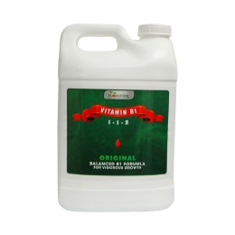 vitamin b1 original 10 litres