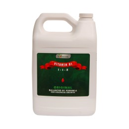 vitamin b1 original 4 litres