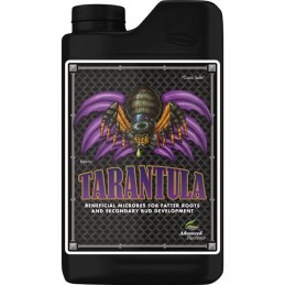 Tarantula