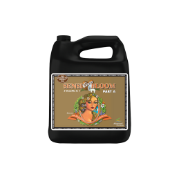 Sensi Coco Bloom pH Perfect Part A 4 Litres