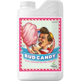 Bud Candy