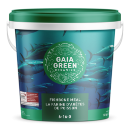 GAIA GREEN FISHBONE MEAL 6-16-0 1.8 KG