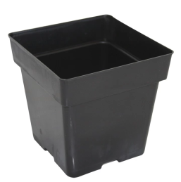 SQUARE POT 3.5 INCH