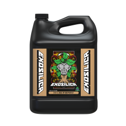 EXOSILICA 4 LITRES