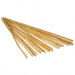 Bamboo Stake 6 FT (20PCS/BDL)