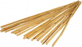 Bamboo Stake 3 Ft. (20pcs/bdl)