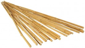 Bamboo Stake 7 FT. (20PCS/BDL)