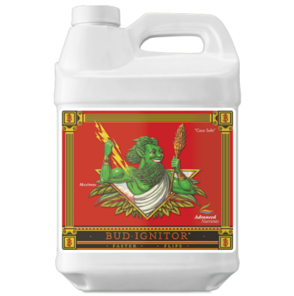 Bud Ignitor