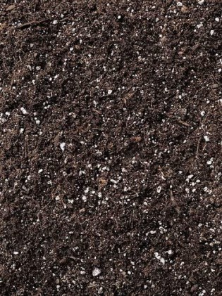 CHARZAN BIOCHAR SUPER SOIL 38 LITRES