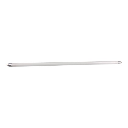 GROWERBASICS T5 24W 6500K BULB