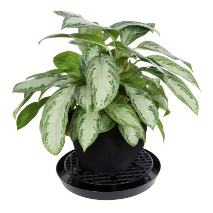 GRO PRO NX LEVEL POT ELEVATOR 16"