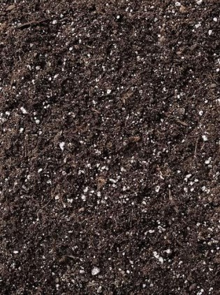 HollandBasics All Purpose Organic Soil Blend for Gardening and Plants, 10L