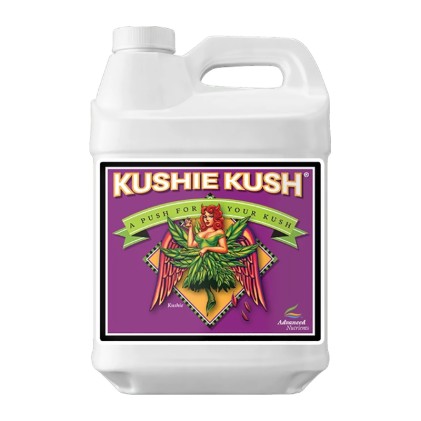 Kushie Kush