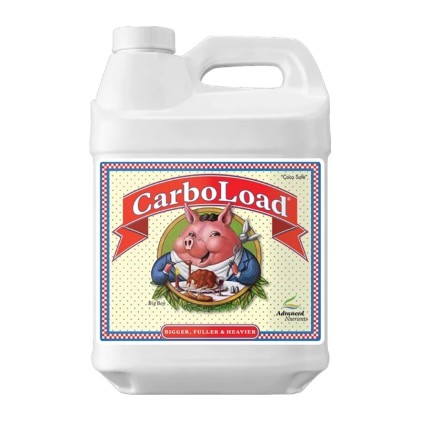 CarboLoad Liquid