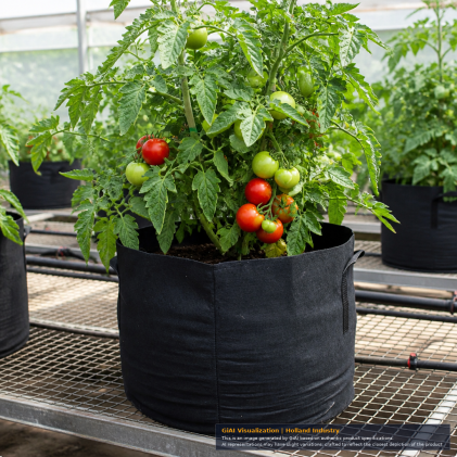 GROWERBASICS 5 gallon black fabric grow pot with side handles and planted green shrub