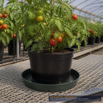 Alfred 14 Inch Plant Saucer With Shallow Raised Rim