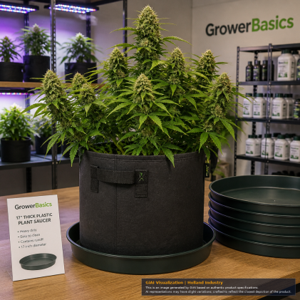 GrowerBasics 17-inch thick dark plastic plant saucer with raised sides
