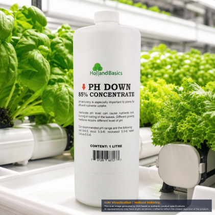 Front view of HOLLANDBASICS pH Down 1 Litre bottle for nutrient management