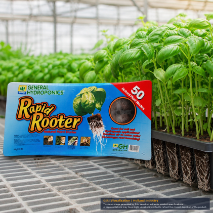GH Rapid Rooter 50 Cell Plug Tray for hydroponic plant growth.