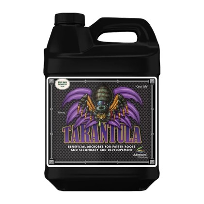 Tarantula
