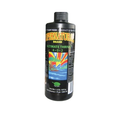 Ultimate B1 Thrive 500 Millilitre